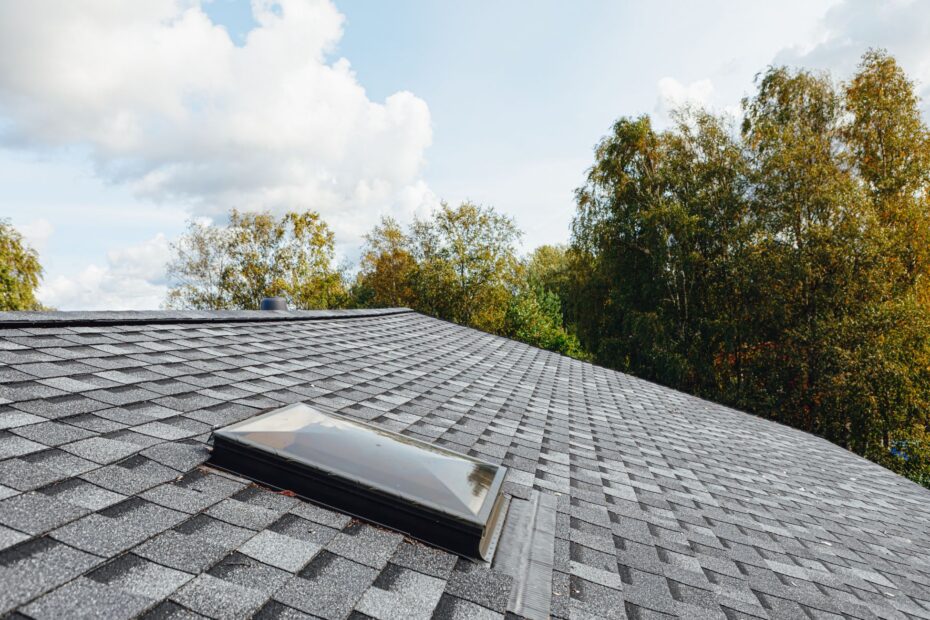 Best Shingles for Roof